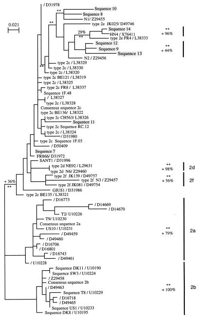 FIG. 1