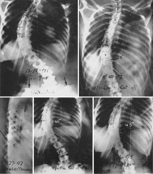 Fig. 7