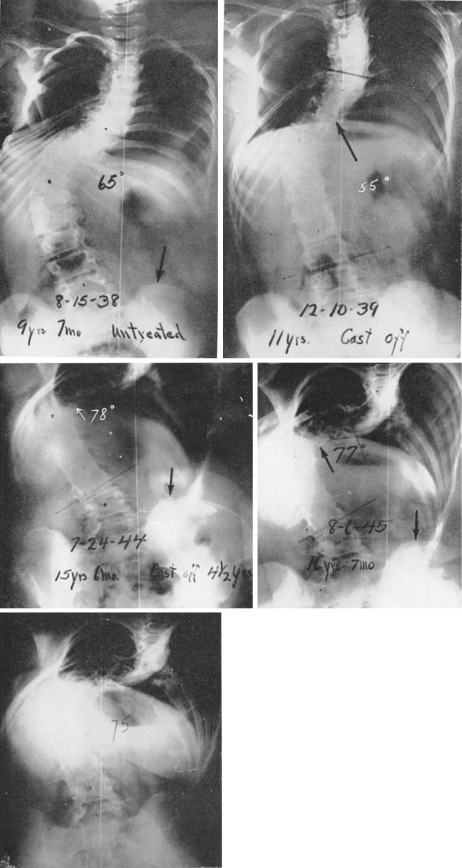 Fig. 6