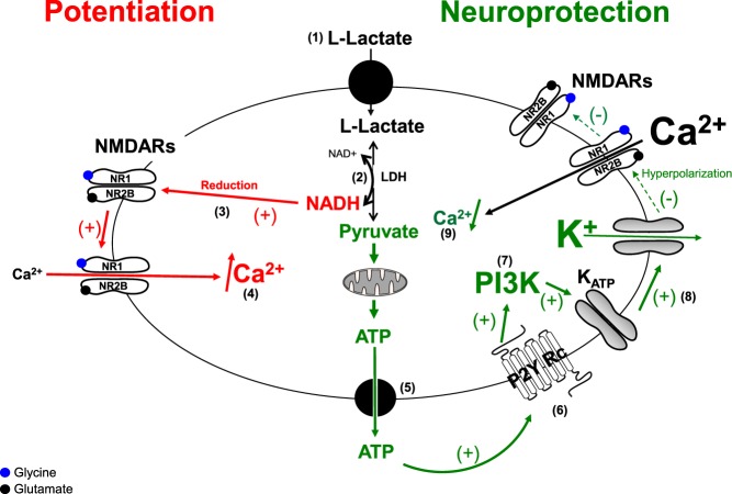 Figure 7