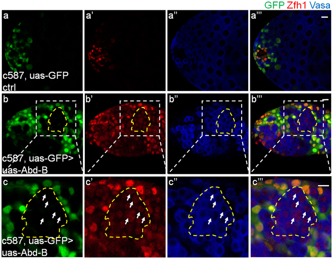 Figure 2