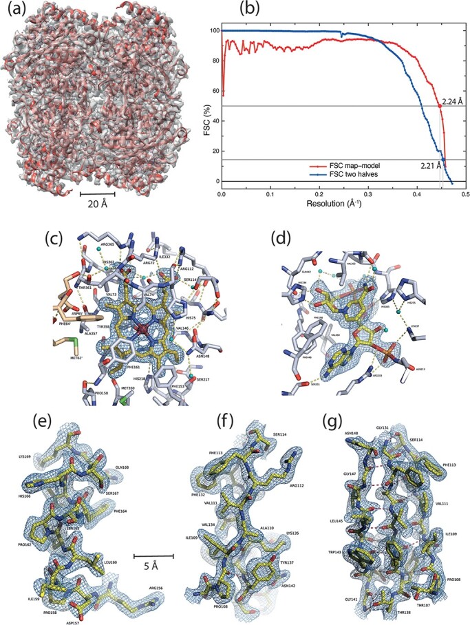 Fig. 4.