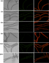 Fig. 4.