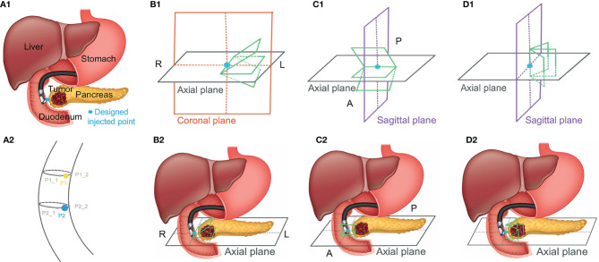 Figure 5