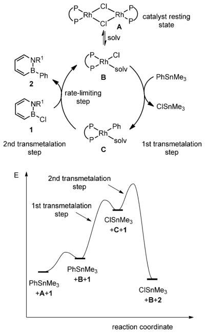 Scheme 4