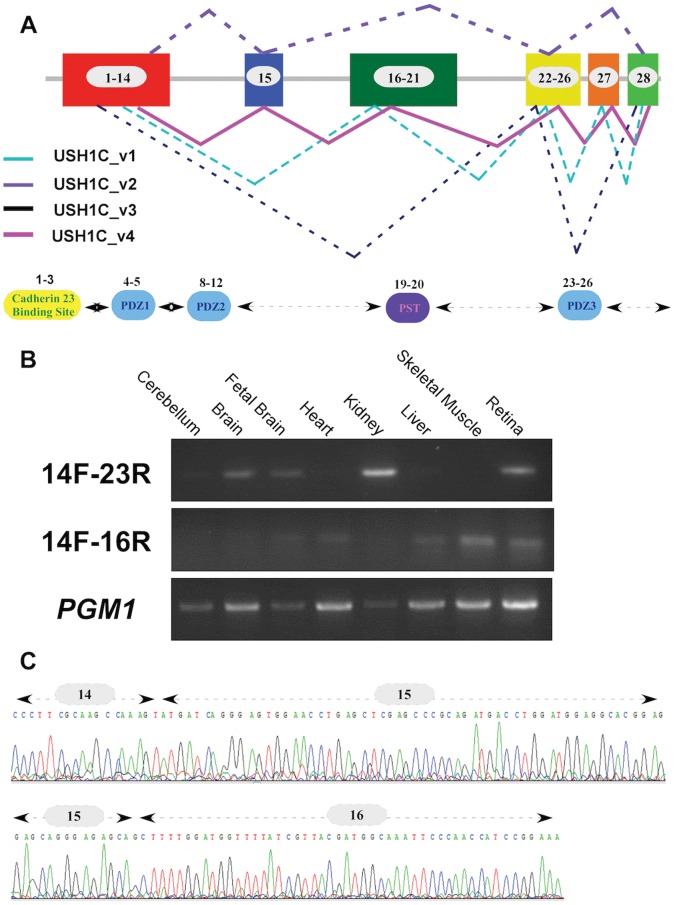 Figure 4