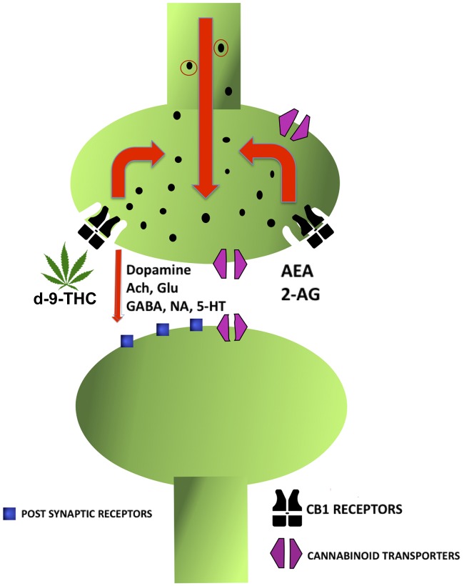 Figure 2.