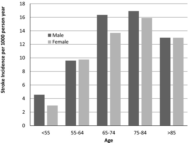 Figure 5.