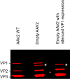 Fig 7