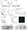 Extended Data Figure 7.