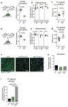 Extended Data Figure 4.