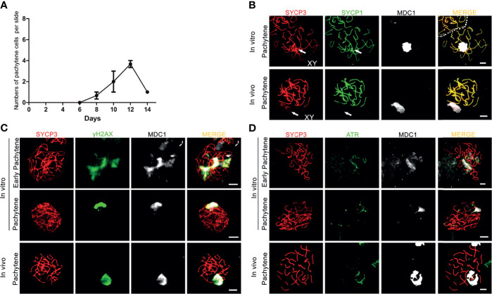 Figure 2