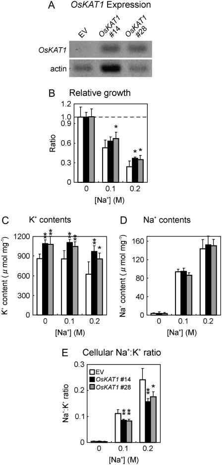 Figure 5.