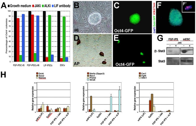 Figure 6