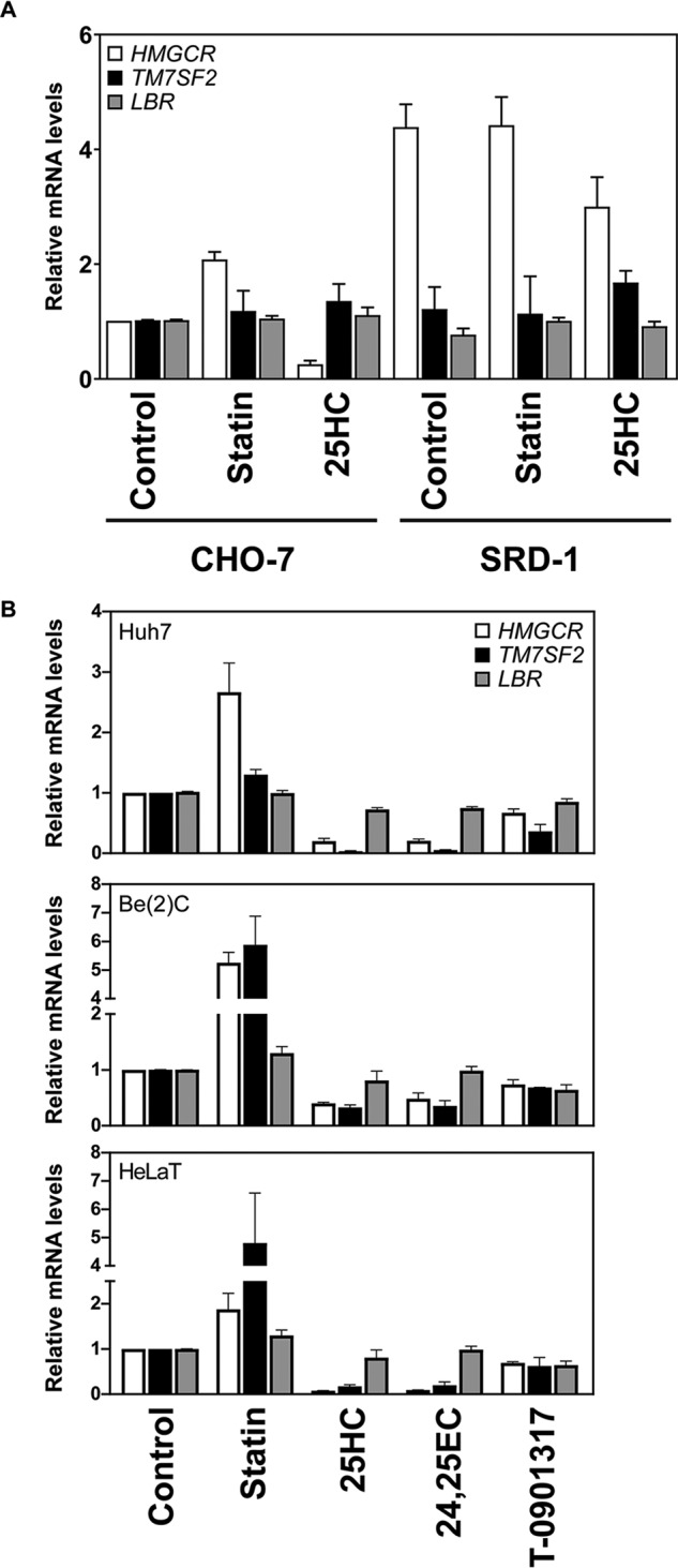 Figure 2.