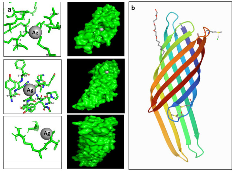 Figure 9