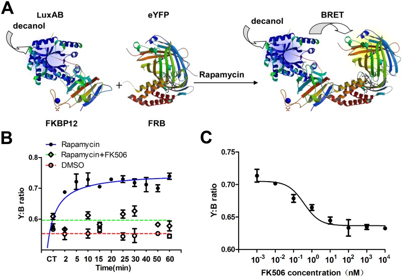 FIG 4 