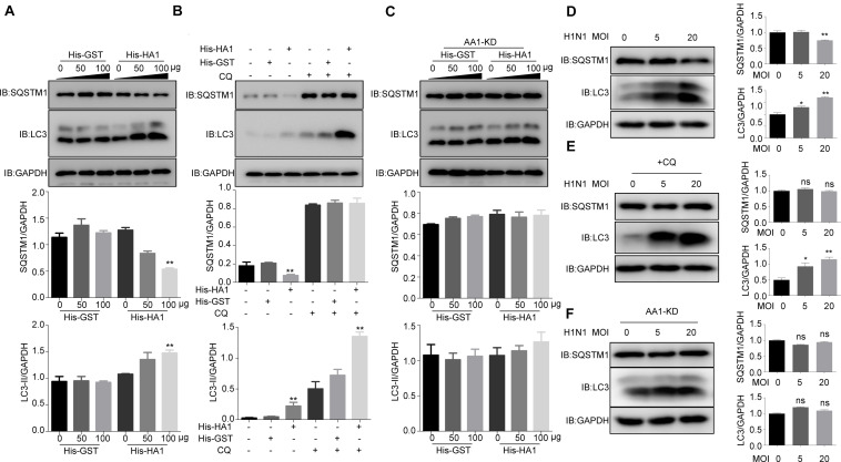 FIGURE 4