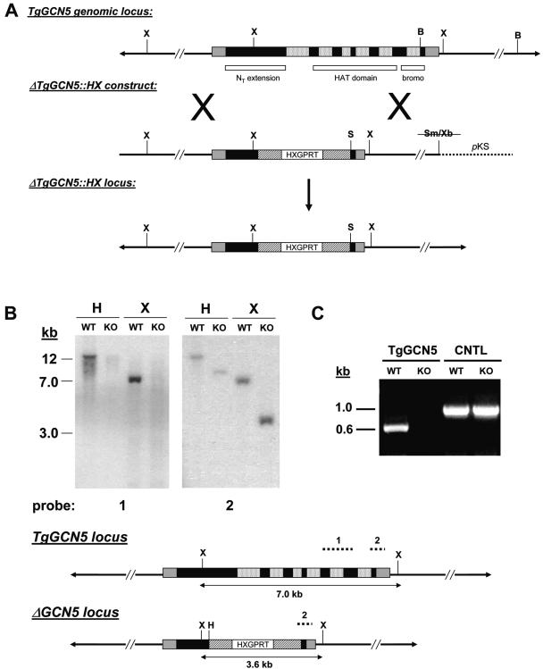 FIG. 1.