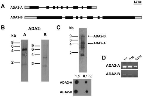 FIG. 8.