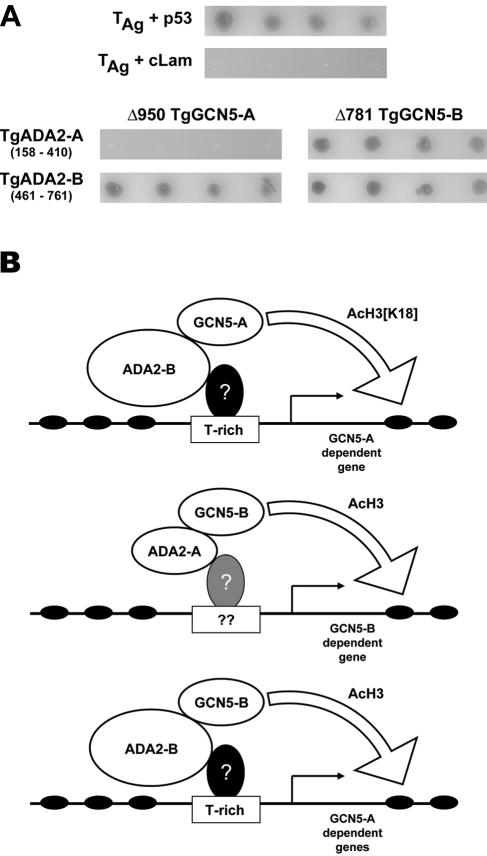 FIG. 10.