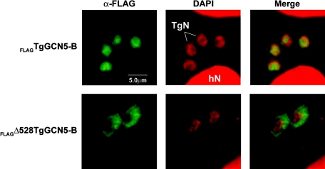 FIG. 6.