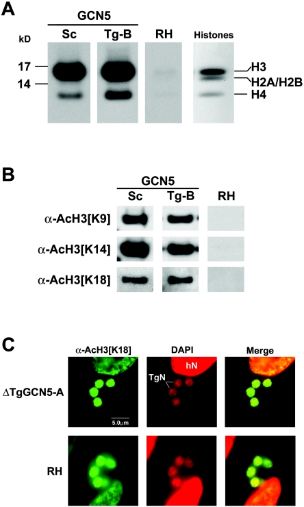 FIG. 7.