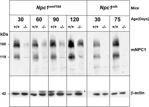 Figure 2.