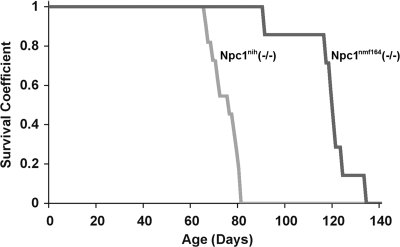 Figure 4.