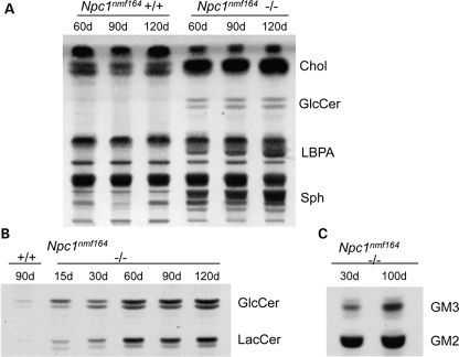 Figure 7.