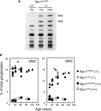 Figure 11.