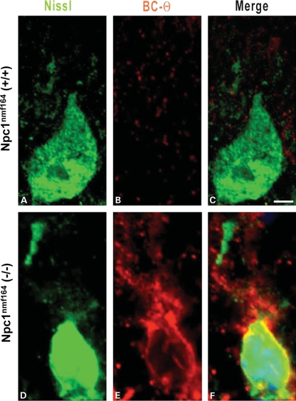 Figure 10.