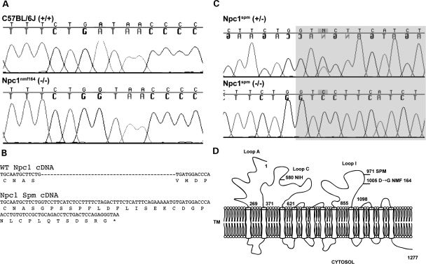 Figure 1.