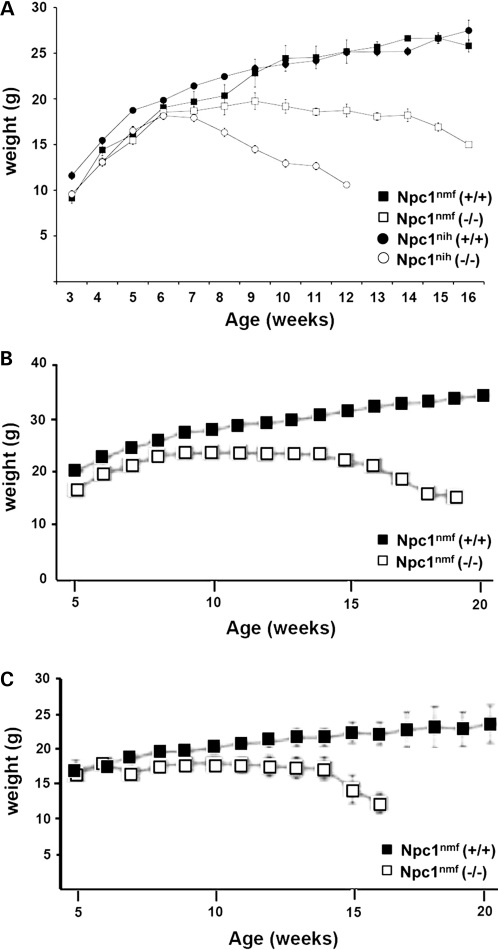 Figure 5.