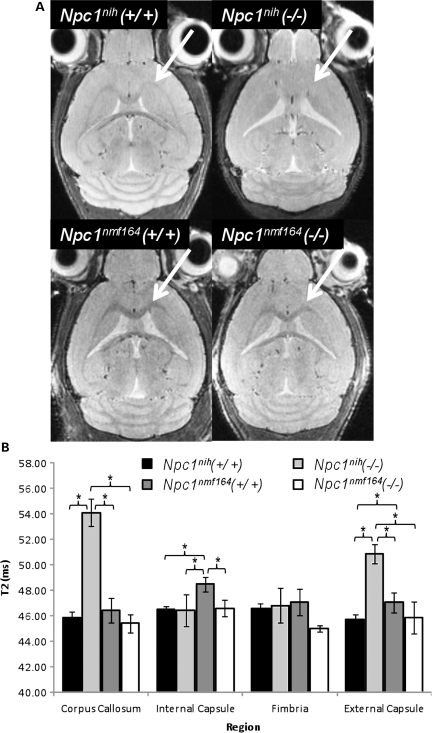 Figure 12.