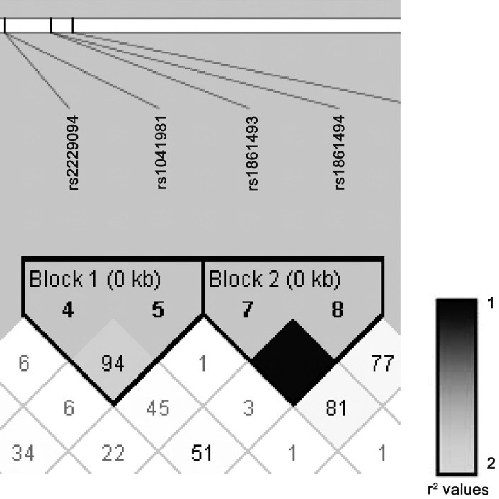 Fig.