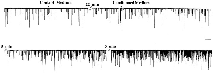 Fig. 6.