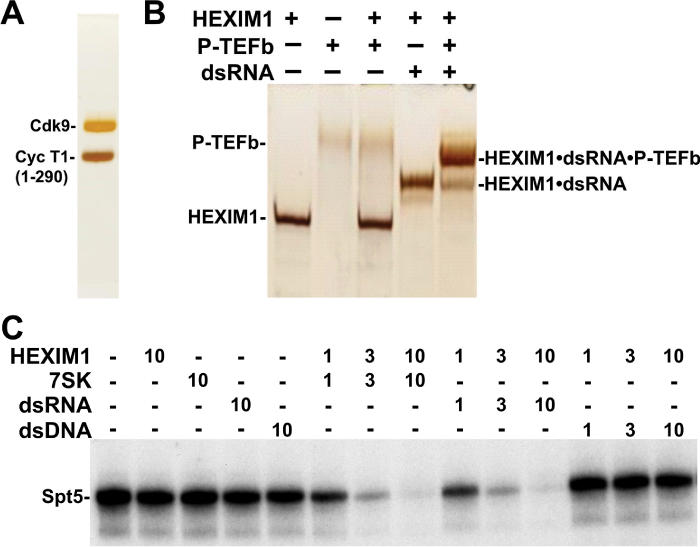 Figure 5.