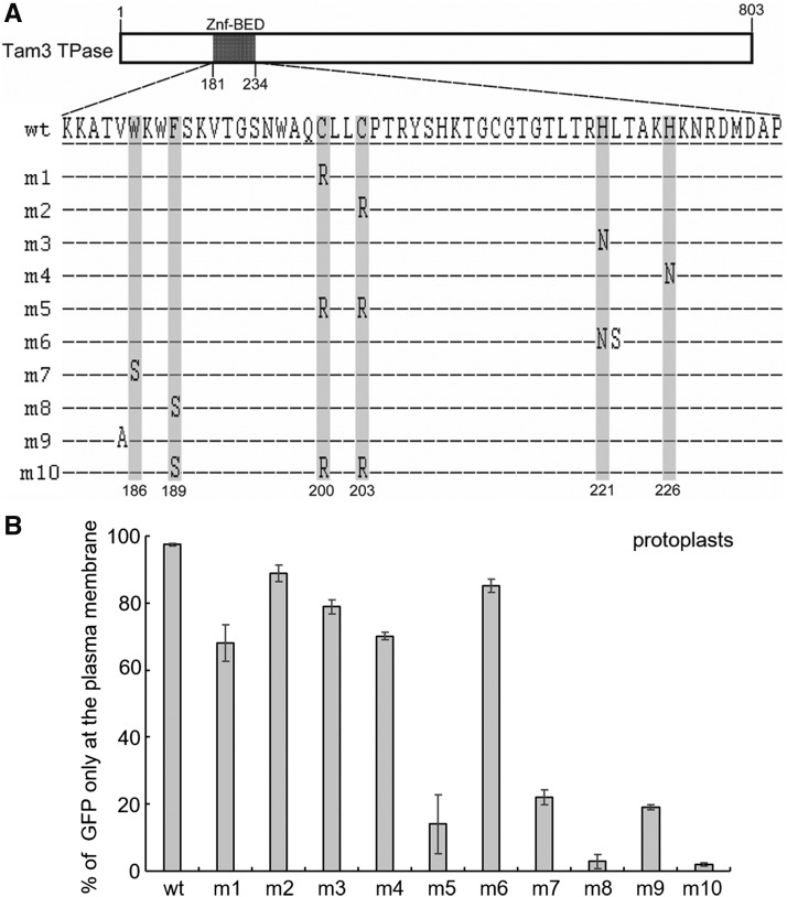 Figure 5.