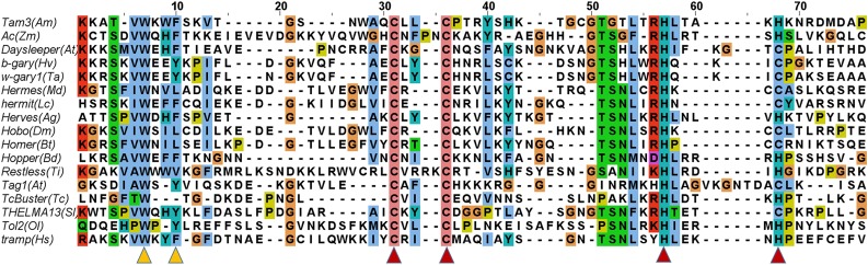 Figure 4.