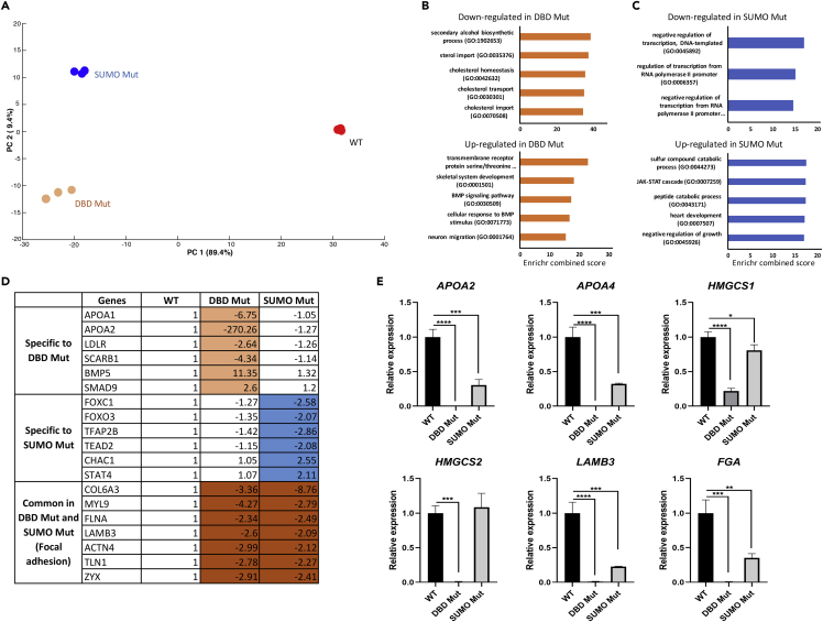 Figure 4