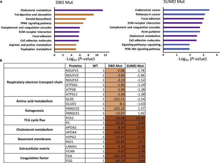 Figure 6