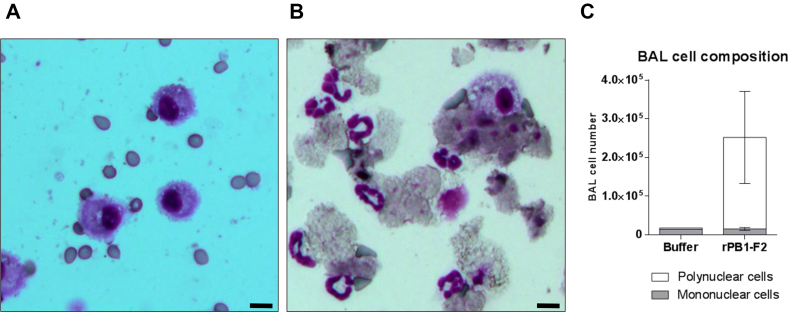 Figure 5