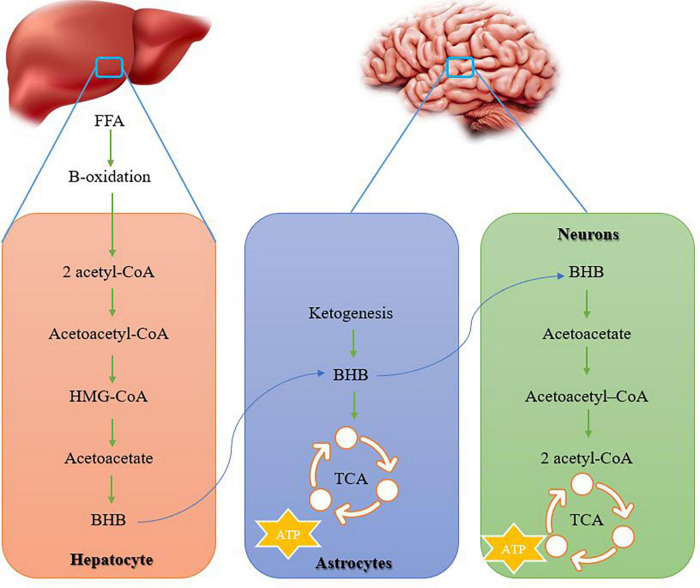 FIGURE 3
