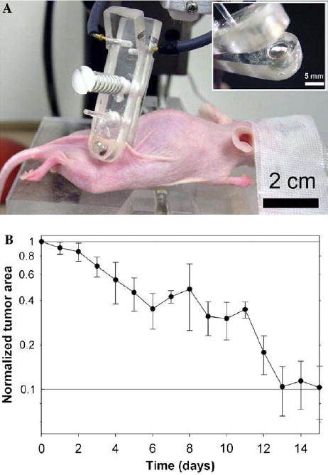 Fig. 6