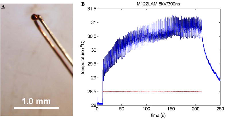 Fig. 8