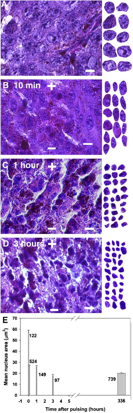 Fig. 9