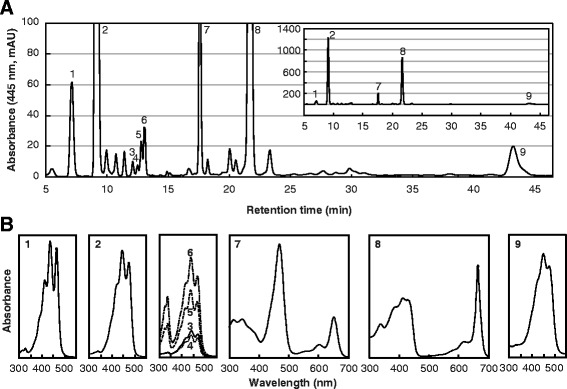 Fig. 2