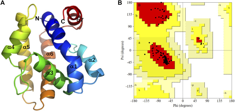 FIGURE 7