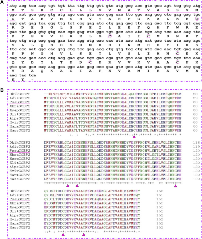 FIGURE 3